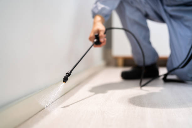 Licensed Fumigation Services service in Plano, KY - Nex Pest Control