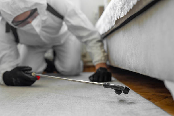 Professional Fumigation Services technician working in Plano, KY
