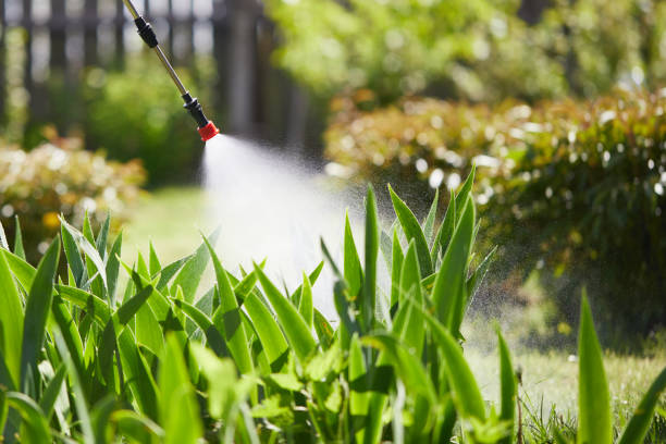24/7 Emergency Fumigation Services experts in Plano, KY