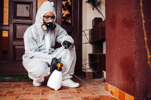 Reliable Fumigation Services contractor in Plano, KY by Nex Pest Control