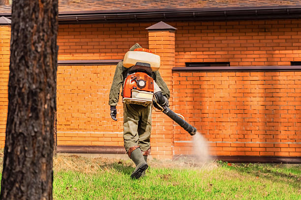 Top rated local Fumigation Services specialists in Plano, KY